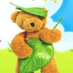 pic for Teddy Bear
